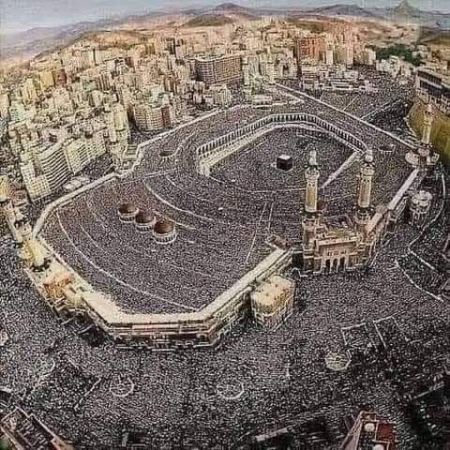 مولده – صلى الله عليه وسلم – هو ميلاد أمة وفجر جدد